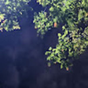 Meet your Posher, Bobby